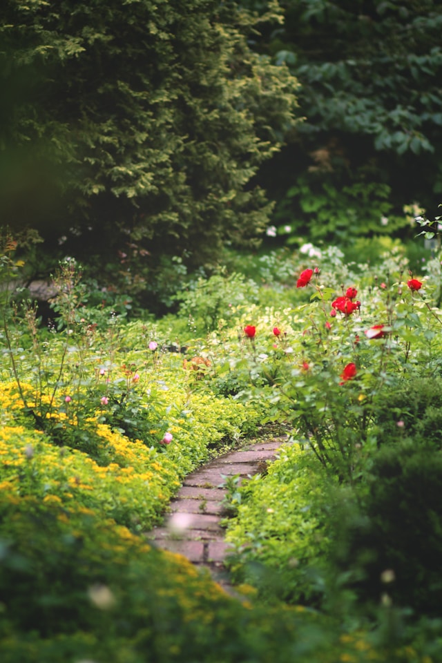 Gardening in July