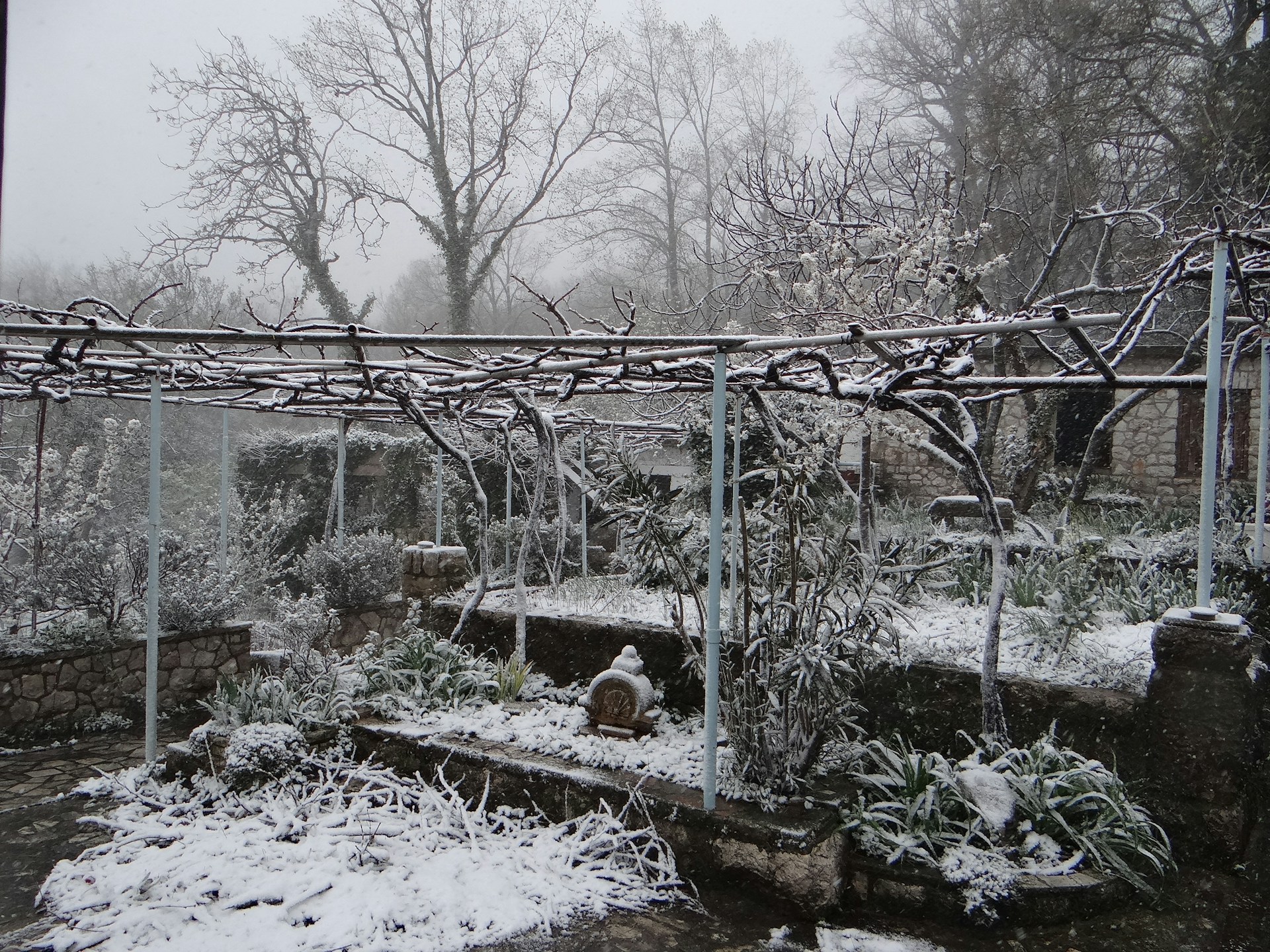 Garden Tasks in December